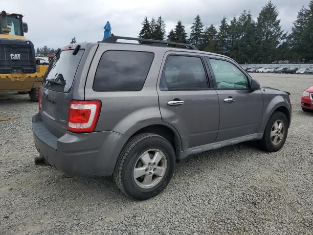 2009 Ford Escape XLT