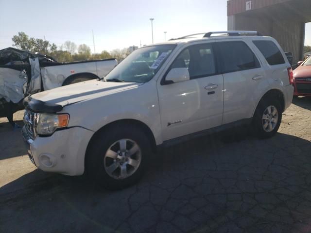 2010 Ford Escape Hybrid