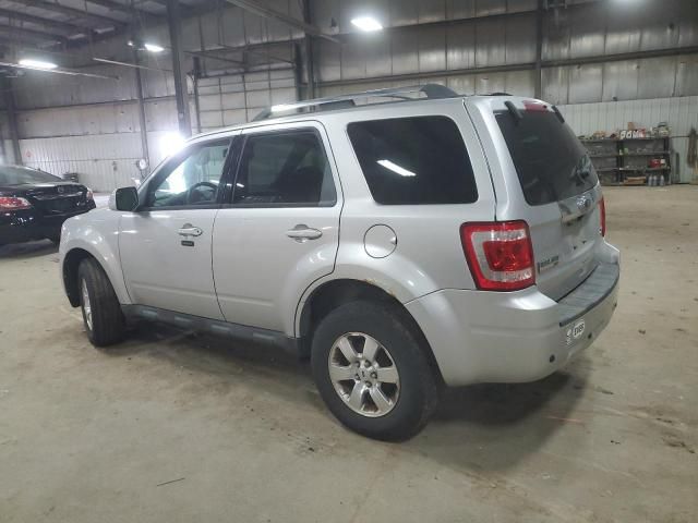 2010 Ford Escape Limited