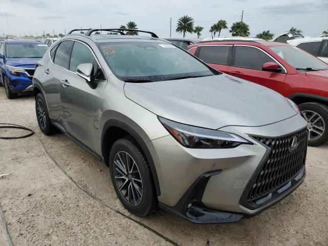 2025 Lexus NX 250 Premium