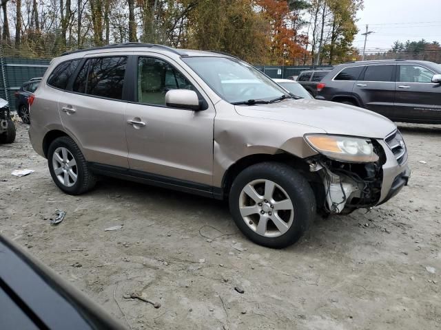 2007 Hyundai Santa FE SE