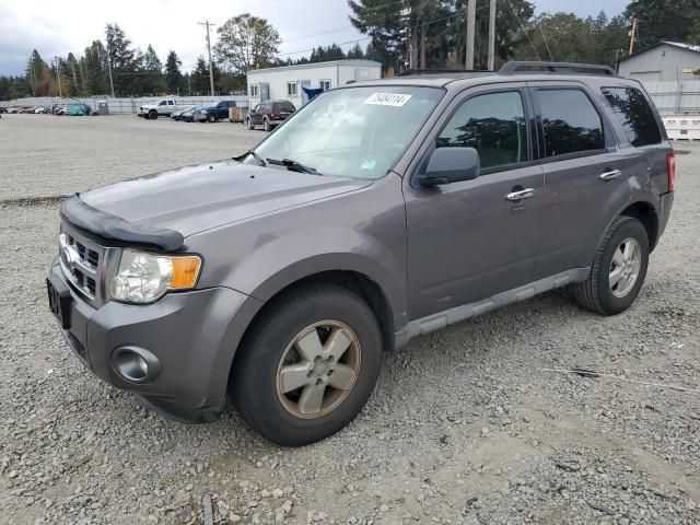 2009 Ford Escape XLT