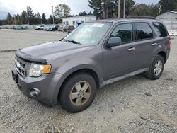 Ford salvage cars for sale: 2009 Ford Escape XLT