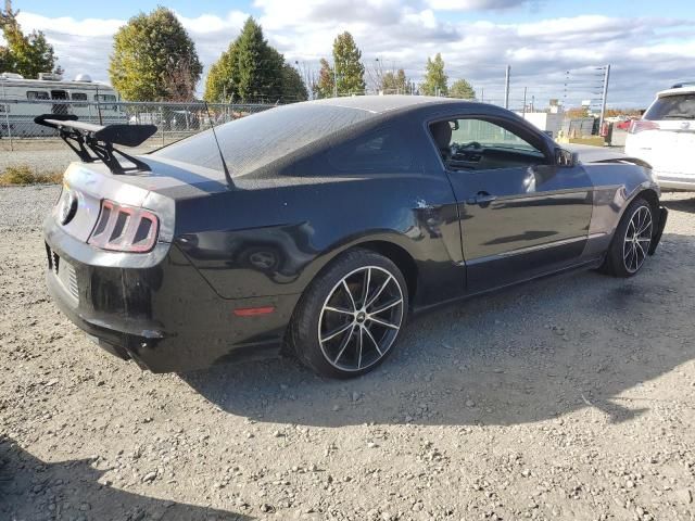 2013 Ford Mustang