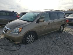 Honda Odyssey exl salvage cars for sale: 2009 Honda Odyssey EXL