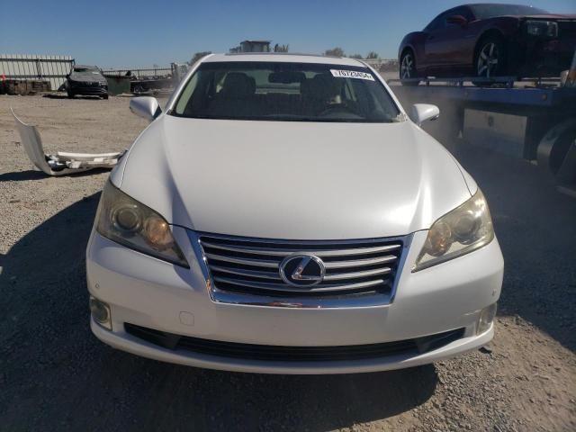 2010 Lexus ES 350