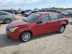 Ford Focus salvage cars for sale: 2011 Ford Focus SE