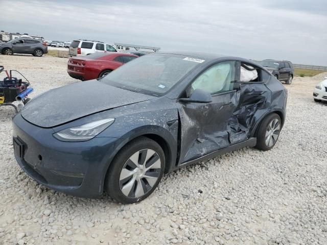 2020 Tesla Model Y