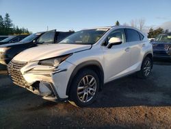 Vehiculos salvage en venta de Copart Ontario Auction, ON: 2020 Lexus NX 300