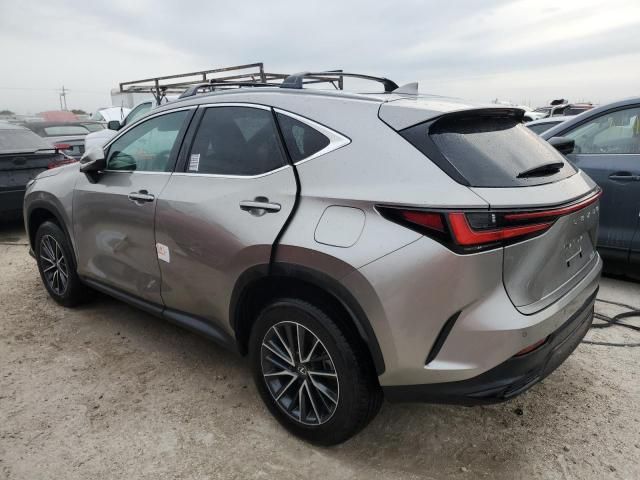 2025 Lexus NX 250 Premium