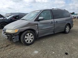 Honda Odyssey ex salvage cars for sale: 2002 Honda Odyssey EX