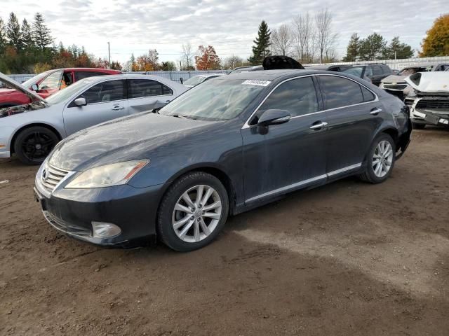 2010 Lexus ES 350