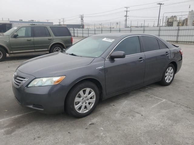 2009 Toyota Camry Hybrid