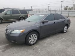 Toyota salvage cars for sale: 2009 Toyota Camry Hybrid