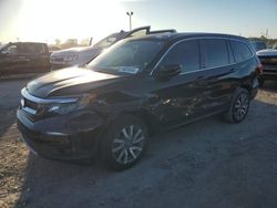 Honda Pilot salvage cars for sale: 2020 Honda Pilot EXL