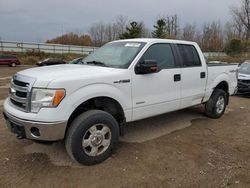 Ford f-150 salvage cars for sale: 2014 Ford F150 Supercrew