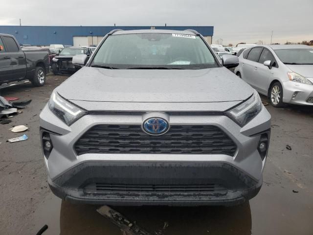 2023 Toyota Rav4 XLE Premium