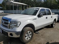 Ford f-150 salvage cars for sale: 2013 Ford F150 Supercrew