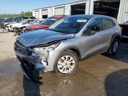 Ford Escape act salvage cars for sale: 2024 Ford Escape Active