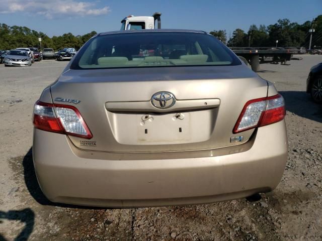 2009 Toyota Camry Hybrid