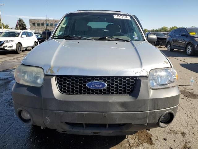 2006 Ford Escape XLT