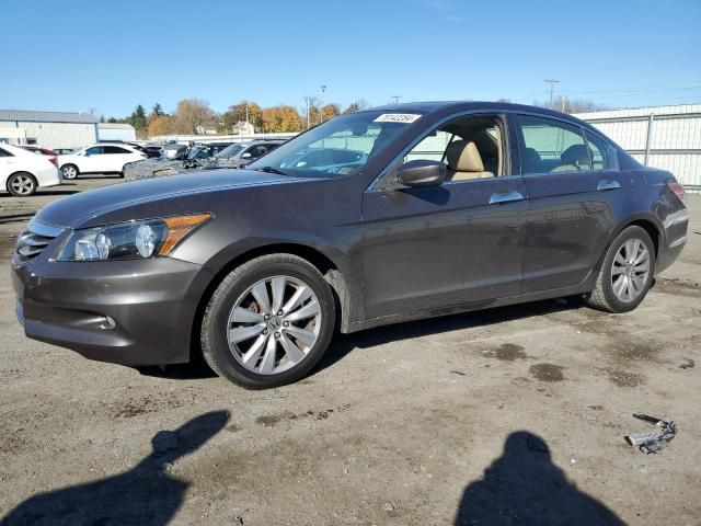 2011 Honda Accord EXL