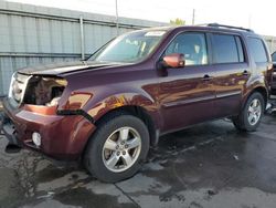 Honda Pilot salvage cars for sale: 2009 Honda Pilot EXL