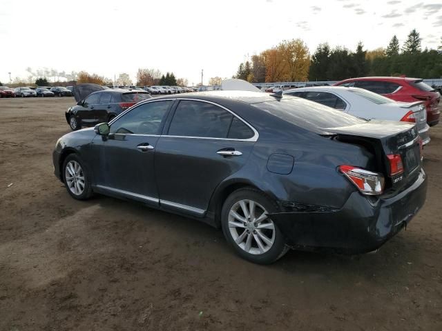 2010 Lexus ES 350