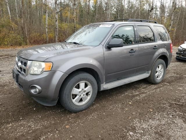 2009 Ford Escape XLT