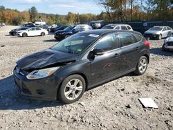 Ford Focus salvage cars for sale: 2014 Ford Focus SE