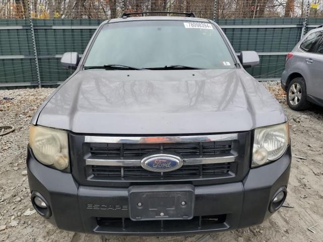 2008 Ford Escape Limited