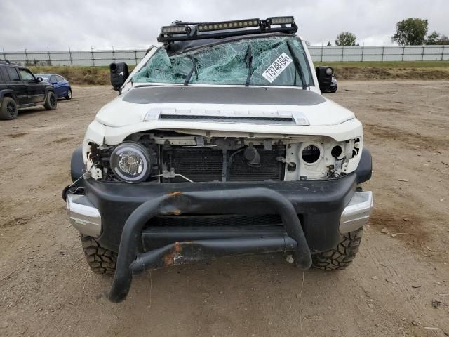 2010 Toyota FJ Cruiser