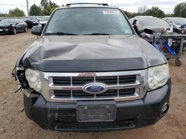 2012 Ford Escape XLT