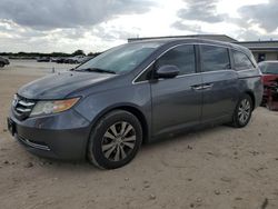 Honda Odyssey salvage cars for sale: 2016 Honda Odyssey SE