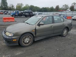 2000 Infiniti G20 for sale in Grantville, PA