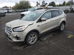 Ford salvage cars for sale: 2017 Ford Escape SE