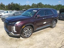 Hyundai Palisade salvage cars for sale: 2024 Hyundai Palisade Limited