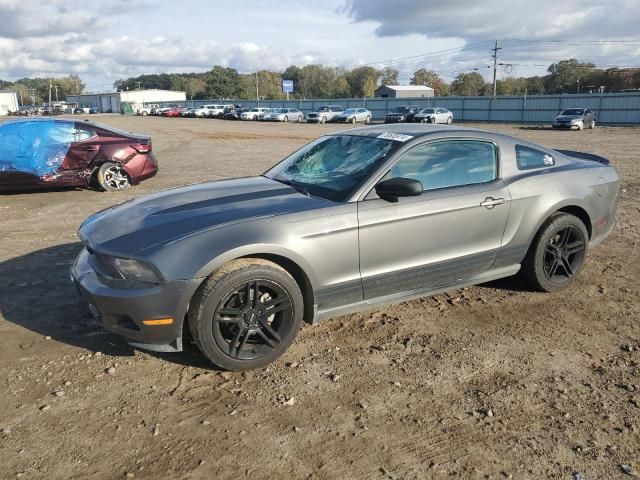 2010 Ford Mustang