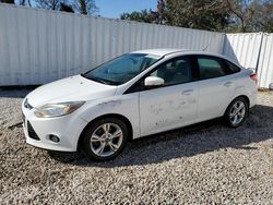 Ford Focus salvage cars for sale: 2014 Ford Focus SE