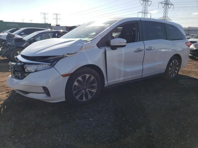 2022 Honda Odyssey EXL