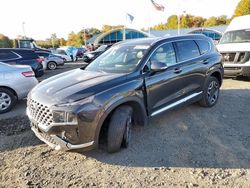 Hyundai Santa fe salvage cars for sale: 2023 Hyundai Santa FE Limited