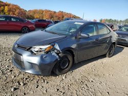 Toyota Corolla salvage cars for sale: 2016 Toyota Corolla ECO