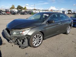 Honda Accord salvage cars for sale: 2013 Honda Accord Sport