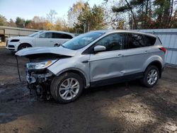 Ford Escape salvage cars for sale: 2019 Ford Escape SE