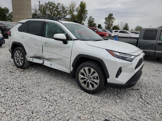 2024 Toyota Rav4 XLE Premium