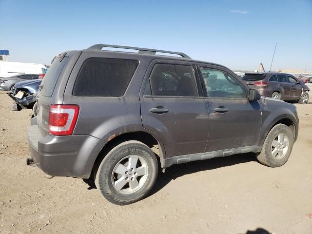 2011 Ford Escape XLT