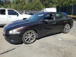 Nissan Maxima salvage cars for sale: 2010 Nissan Maxima S