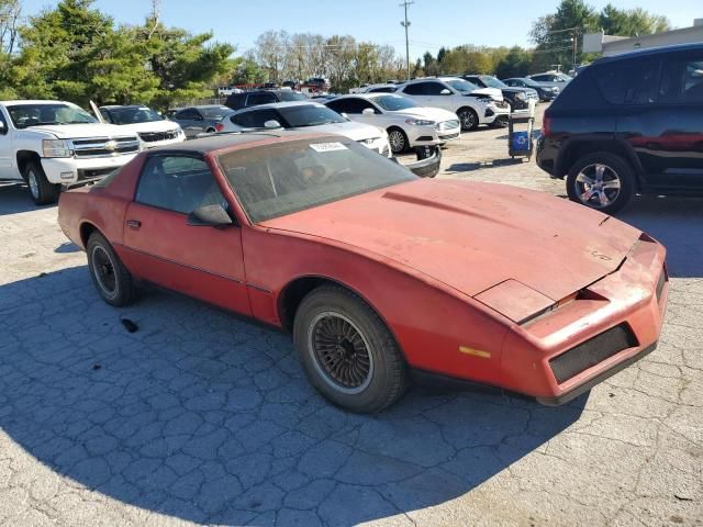 1983 Pontiac Firebird Trans AM