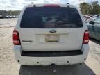 2009 Ford Escape Limited