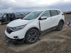 Honda crv salvage cars for sale: 2020 Honda CR-V EXL